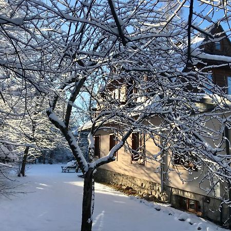 Willa Topaz Zakopane Zewnętrze zdjęcie